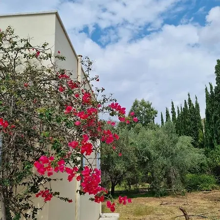 Margouno Eco-villa, Eggares, Naxos Prázdninový dům Engaraí